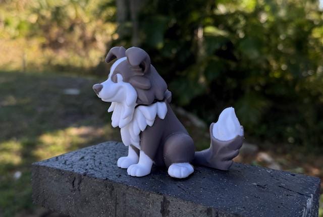 Bobble Head Border Collie / desk buddy / Bouncy Buddies