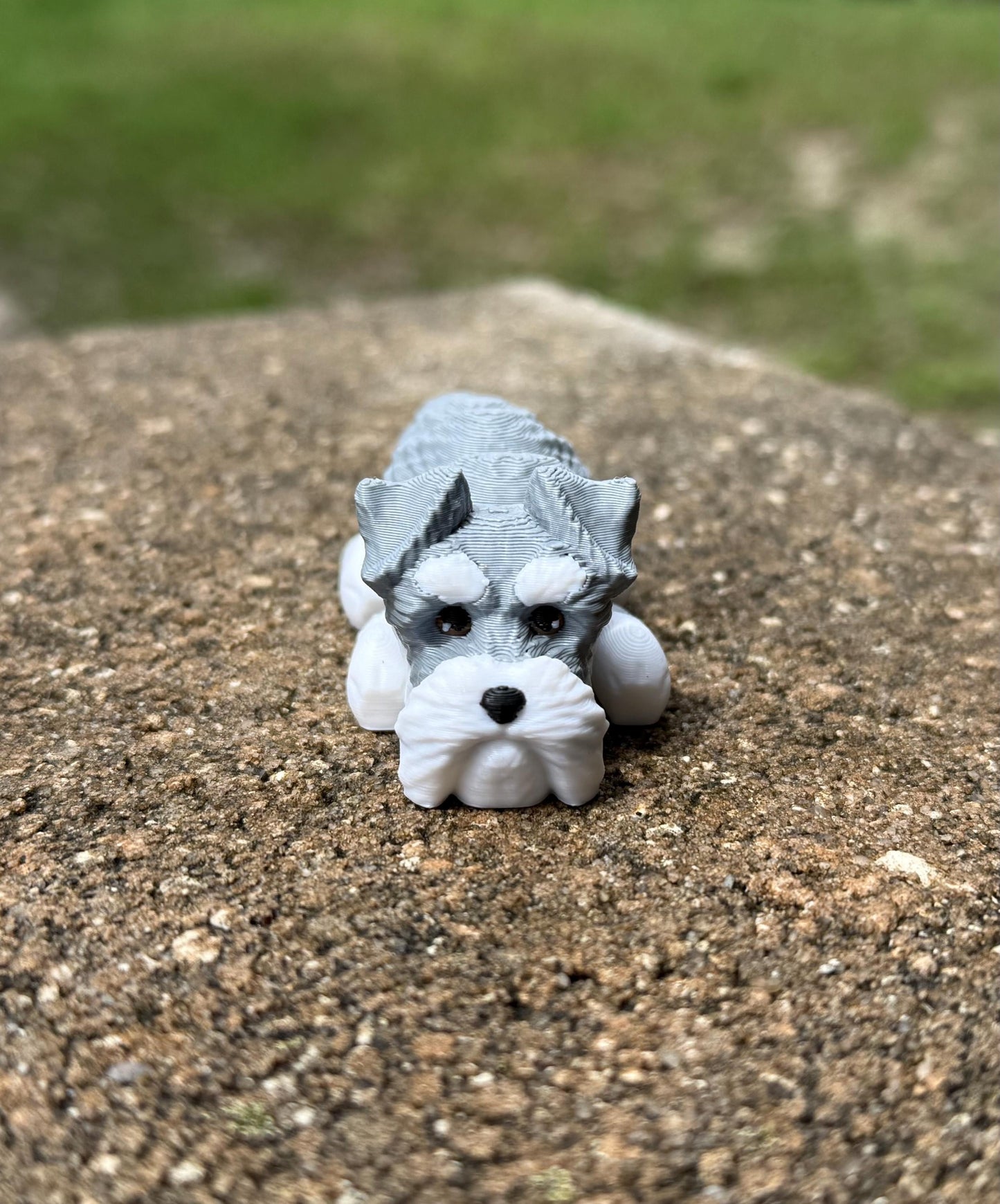 Schnauzer Flexi / 3D print / desk pets / desk buddy / fidget / articulated figure