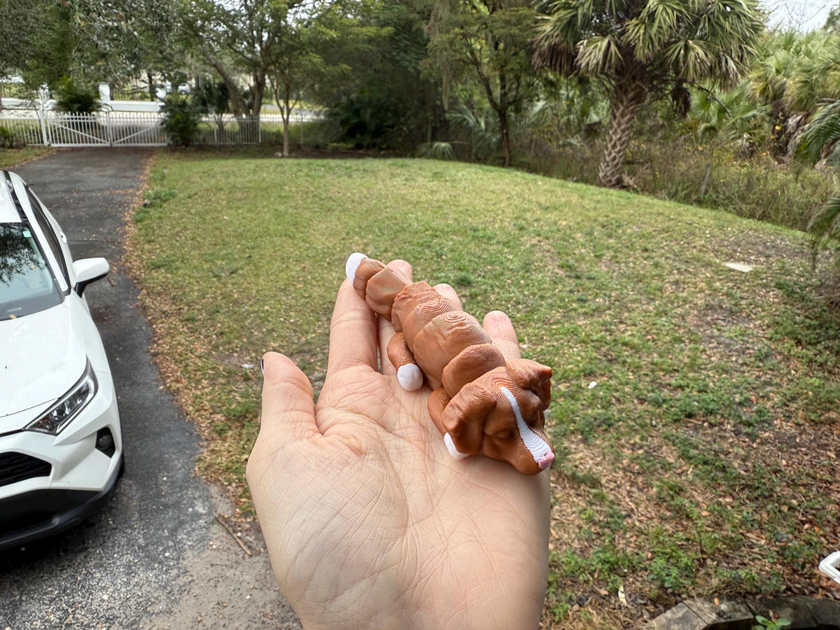 Flexi Nova Scotia Duck Tolling Retriever! / Toller / Duck Dog / Customizable / articulated fidget