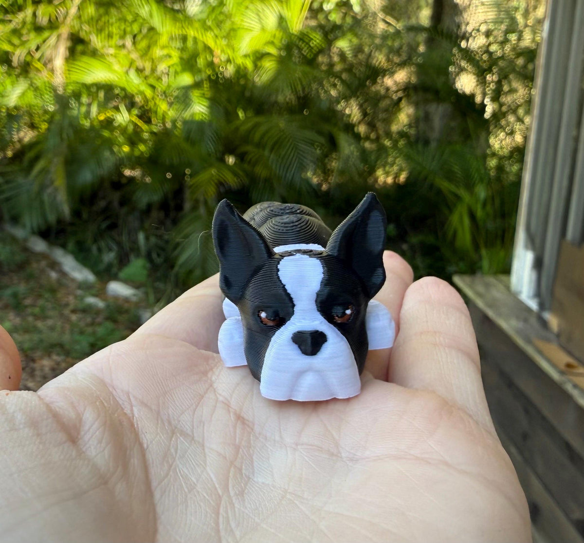 Boston Terrier Flexi / 3D print / desk pets / desk buddy / fidget / articulated figure