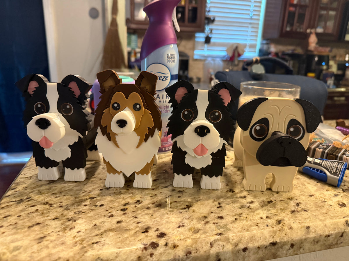 Glasses Stands