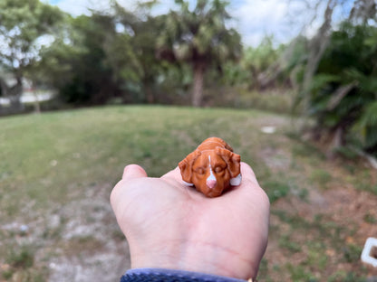 Flexi Nova Scotia Duck Tolling Retriever! / Toller / Duck Dog / Customizable / articulated fidget