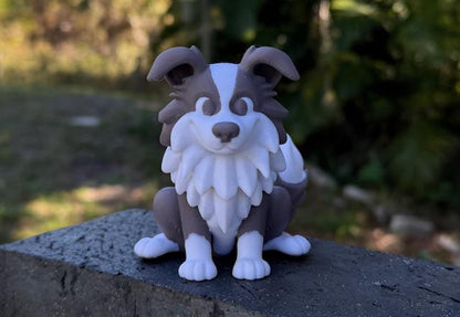 Bobble Head Border Collie / desk buddy / Bouncy Buddies