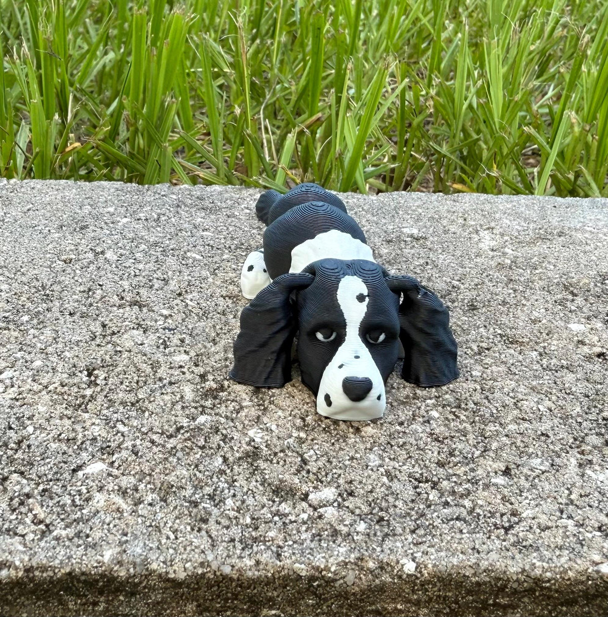 English Springer Spaniel Flexi / 3D print / desk pets / desk buddy / fidget / articulated figure