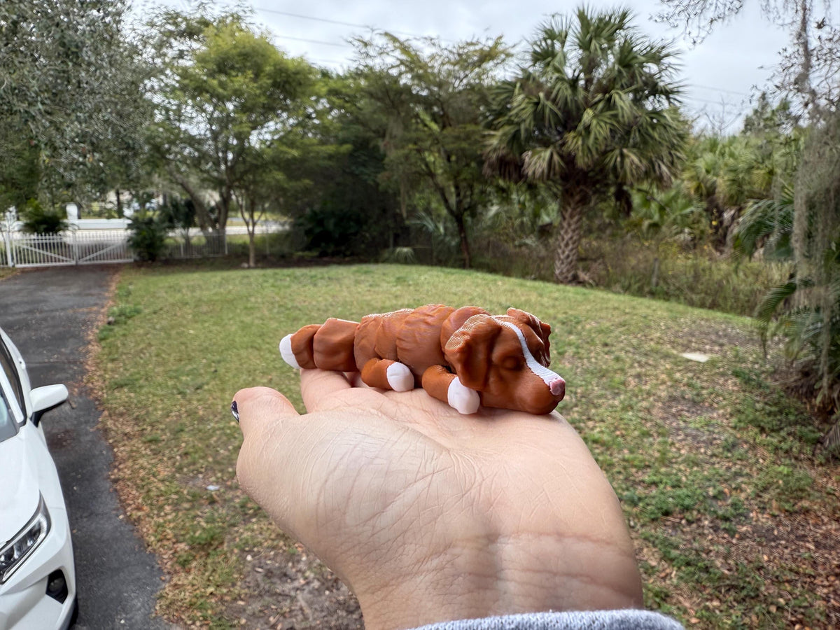 Flexi Nova Scotia Duck Tolling Retriever! / Toller / Duck Dog / Customizable / articulated fidget