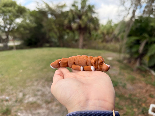 Flexi Nova Scotia Duck Tolling Retriever! / Toller / Duck Dog / Customizable / articulated fidget